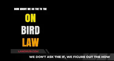 Bird Law Battle: Let's Debate the Fine Feathered Legal Details