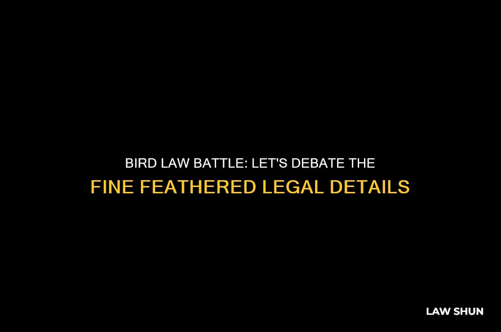 how about we go toe to toe on bird law