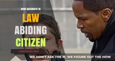 Exploring the Accuracy of 'Law Abiding Citizen': A Critical Analysis