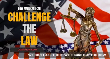 Challenging the Law: A Guide for Americans
