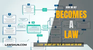 The Legislative Process: How Acts Become Laws