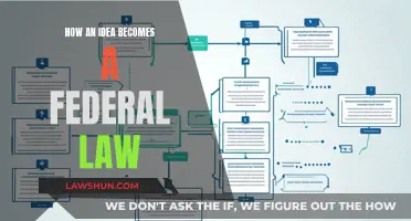 Brainstorming to Bill: The Lawmaking Process