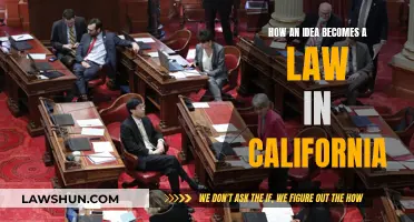 California's Lawmaking Process: Idea to Legislation