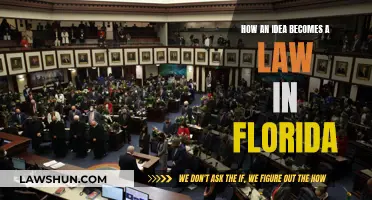 Florida's Idea-to-Law Process: Understanding the Legislative Journey