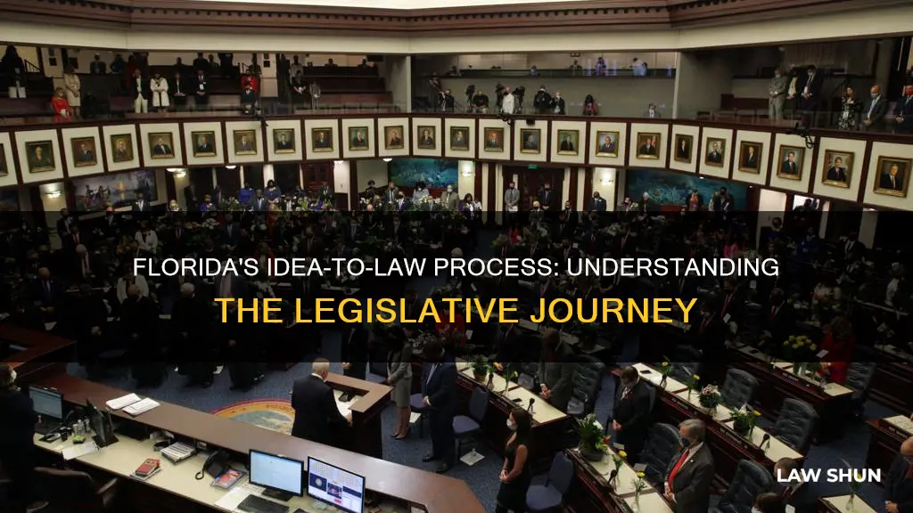 how an idea becomes a law in florida