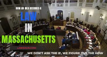 The Long Road: Idea to Massachusetts Law