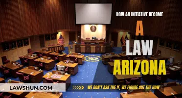 Initiative to Law: Arizona's Unique Legislative Journey