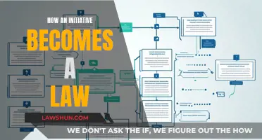 Initiative to Law: Understanding the Legislative Process