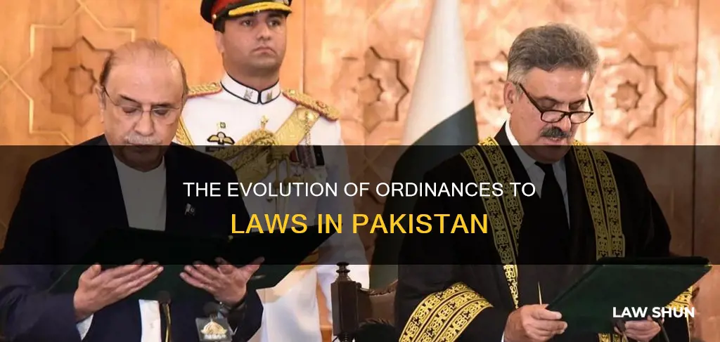 how an ordinance becomes a law in pakistan