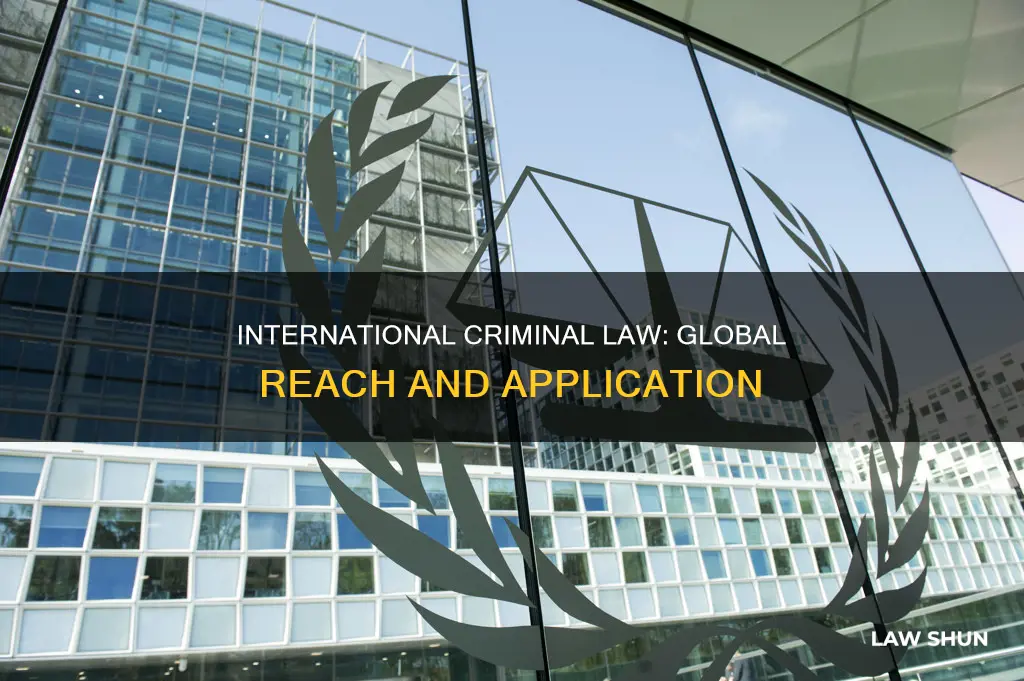 how and where international criminal law applied