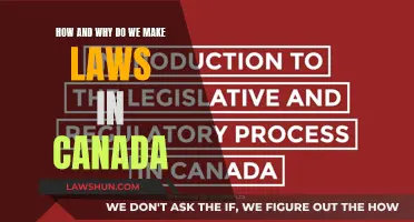 Canada's Lawmaking: Process and Purpose