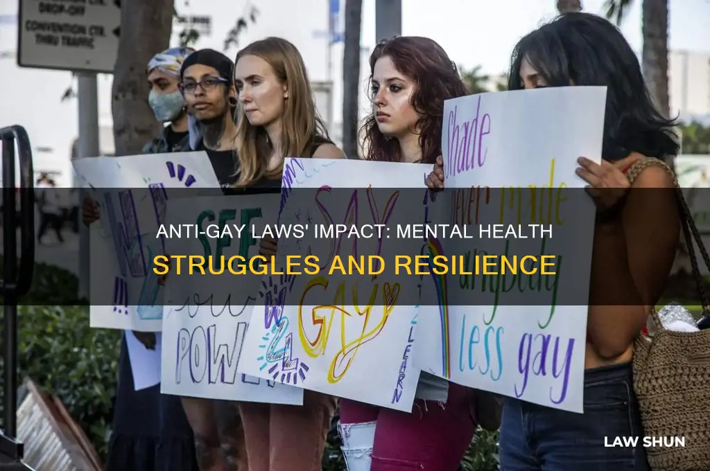 how anti gay laws affect mental health