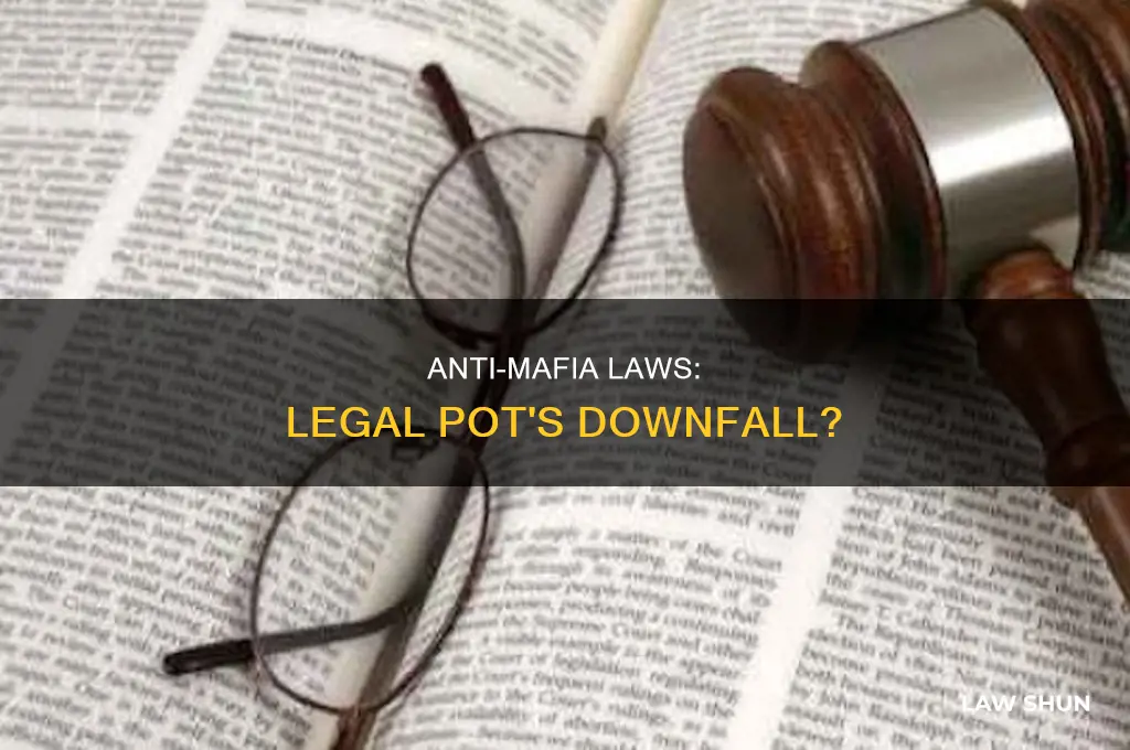 how anti mafia laws could bring down legal pot