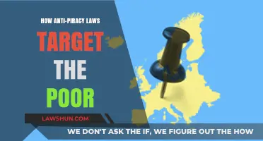 Anti-Piracy Laws: Criminalizing Poverty and Access