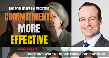Antitrust Law: Making FRAND Commitments More Effective