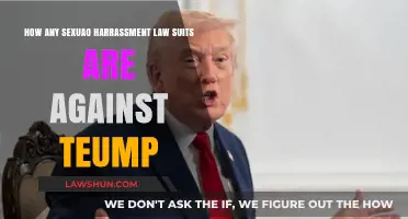 Trump's Legal Battles: Sexual Harassment Lawsuits and Allegations Explored