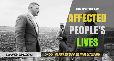 Apartheid's Shadow: How Discriminatory Laws Shattered Lives and Communities