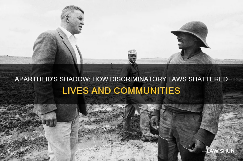 how apartheid law affected people