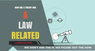 Understanding the Connection: How Theories and Laws Relate in Science