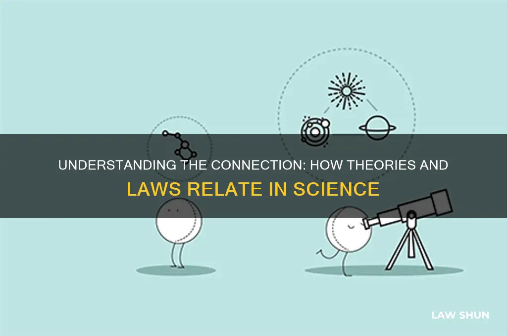 how are a theory and a law related
