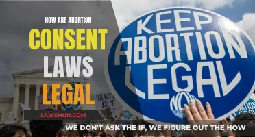 Abortion Consent Laws: Legal, Ethical, and Human Rights