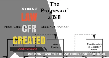 The Making of Acts, Laws, and CFRs