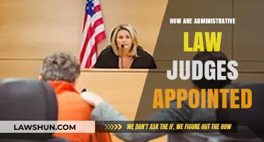 The Appointment Process of Administrative Law Judges: A Comprehensive Guide