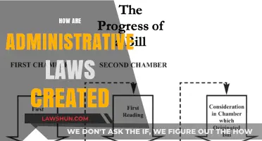 Administrative Law: How It's Created