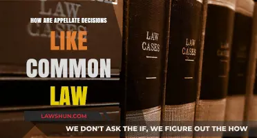 Appellate Decisions: Common Law's Evolution