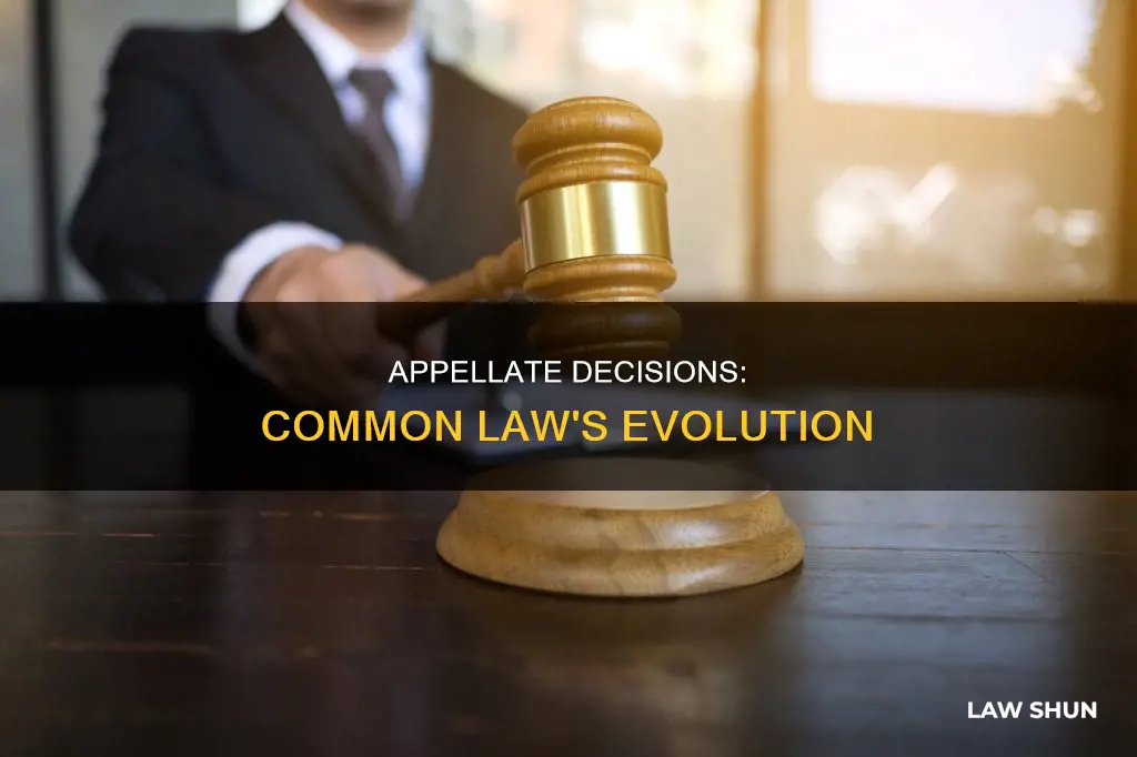 how are appellate decisions like common law