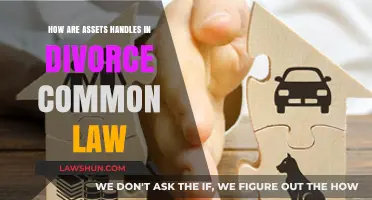 Divorce and Common-Law Assets: Who Gets What?