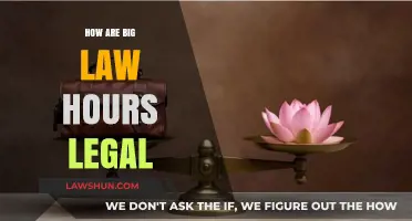 Decoding Big Law Hours: Understanding the Legalities and Implications