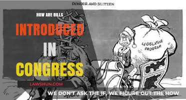 Understanding the Legislative Process: How Bills are Introduced in Congress