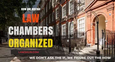 Exploring the Structure and Organization of British Law Chambers