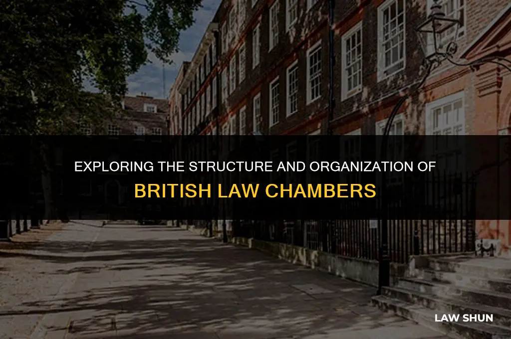 how are british law chambers organized
