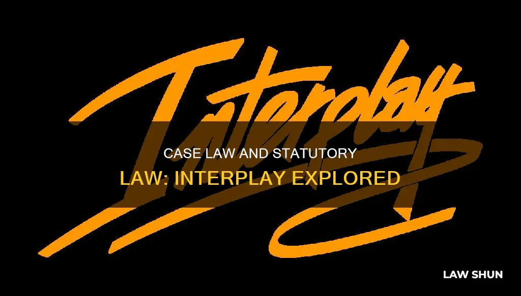 how are case law and statutory law linked