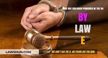 UAE Juvenile Justice: Legal Punishments for Children Explained