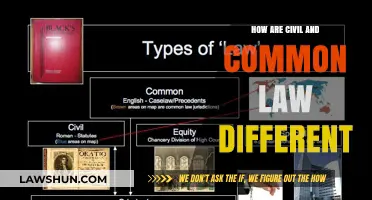 Civil vs Common Law: What's the Difference?