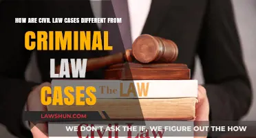 Civil vs. Criminal Law: Key Differences Explained