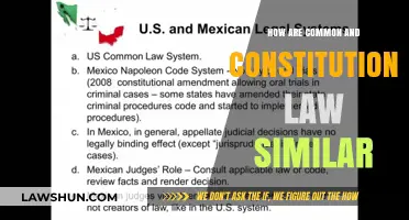 Common and Constitutional Law: What's the Similarity?