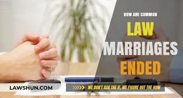 Ending Common Law Marriages: What You Need to Know