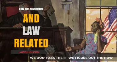 Conscience vs. Law: Exploring the Complex Relationship Between Morality and Justice
