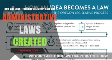 The Law-Making Process: How Rules are Created