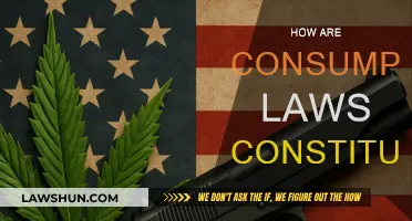 Consumption Laws: Constitutionality and Consumer Protection