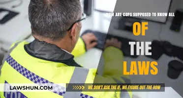 Understanding Legal Complexity: How Cops Navigate Thousands of Laws Daily