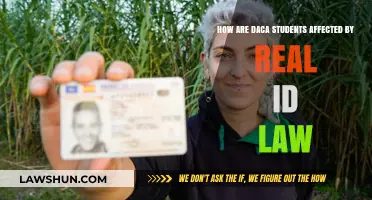 Real ID Law Impact: Challenges for DACA Students Explained