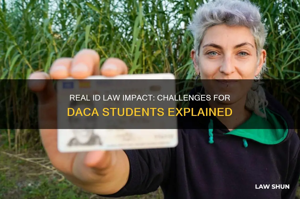 how are daca students affected by real id law
