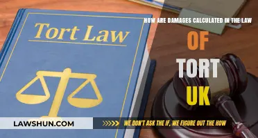 Tort Law Damages: Calculating Compensation in the UK