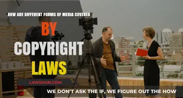 Media Copyright Laws: Understanding Different Forms' Coverage
