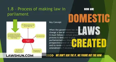 Domestic Lawmaking: A Guide to the Process